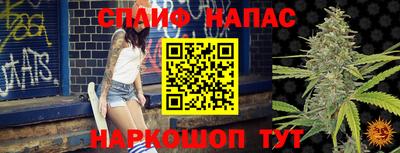 прущие крисы Новодвинск