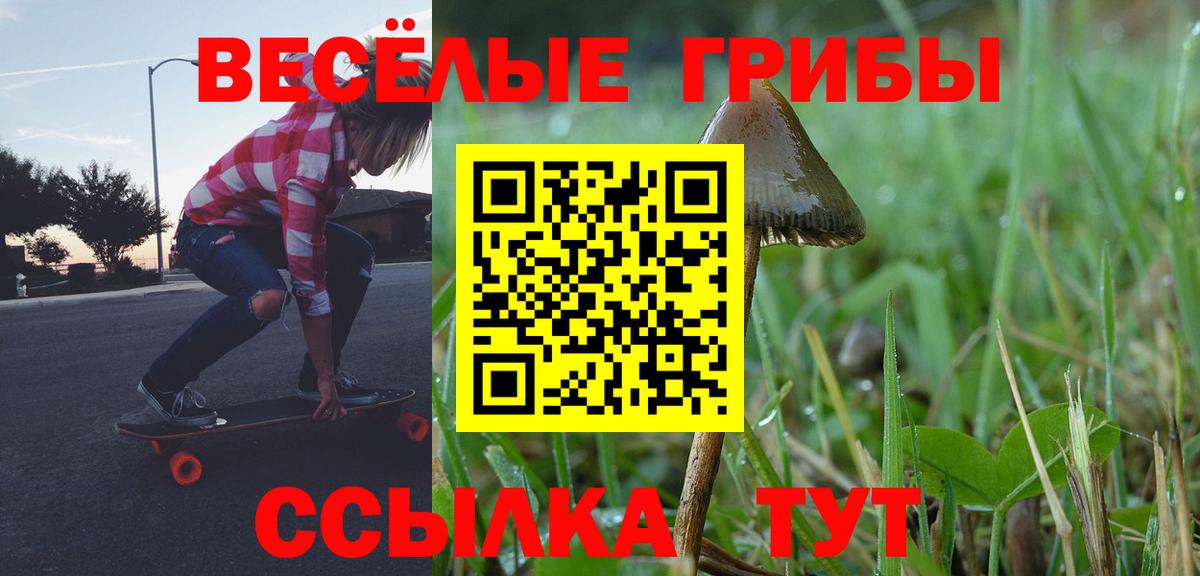 Псилоцибиновые грибы мухоморы  Галлюциногенные грибы Cubensis  Тамбов  Вход с VPN 