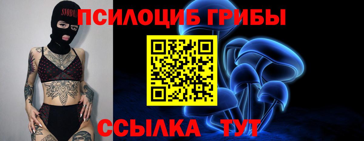 Галлюциногенные грибы мухоморы Тамбов