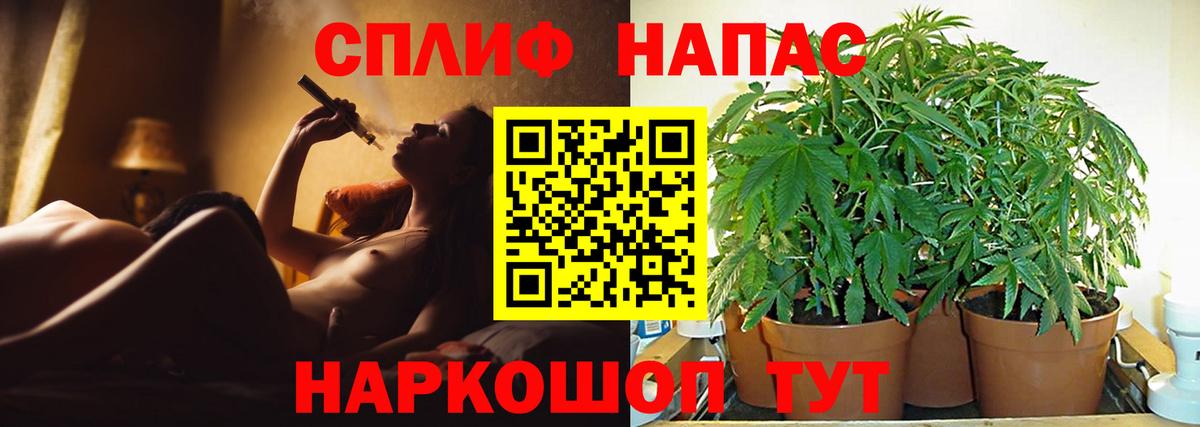 Бошки марихуана сатива  Вход с VPN  Каннабис OG Kush  Канабис семена  Конопля ГИДРОПОН  Тамбов 